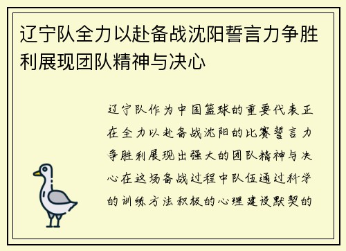 辽宁队全力以赴备战沈阳誓言力争胜利展现团队精神与决心