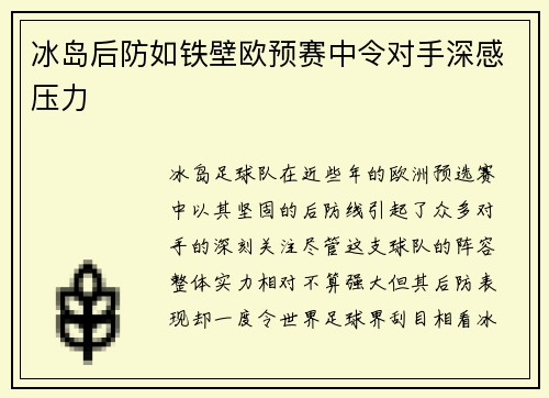 冰岛后防如铁壁欧预赛中令对手深感压力